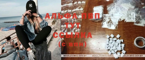 круглые Белокуриха